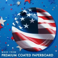 Creative Converting 9" Freedom Flag Paper Plates 24ct