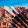 Creative Mark Pro Stroke Premium White Chungking Hog Bristle Artist Paint Brush - Filberts Set Of 5 - Natural Bristle Brush W/ Soft Touch Handle For