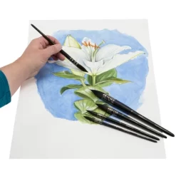Creative Mark Danube Professional Watercolor Quill Brushes Set Of 3 - #6, #10, #14 - Kazan Squirrel And Synthetic Hair Watercolor Brushes For -Creative GUEST dfefe1cb bb8a 460c b9bd fc077fe78aec